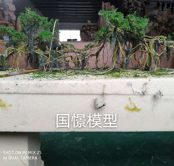 新蔡县场景模型