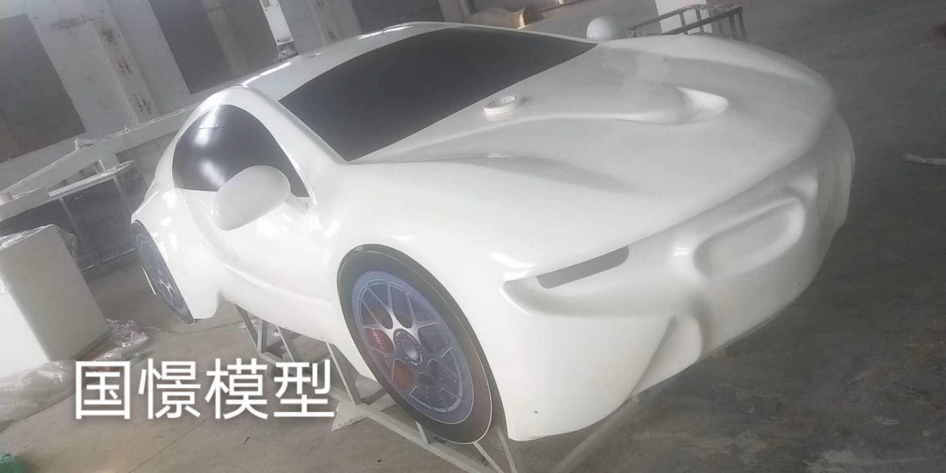 新蔡县车辆模型