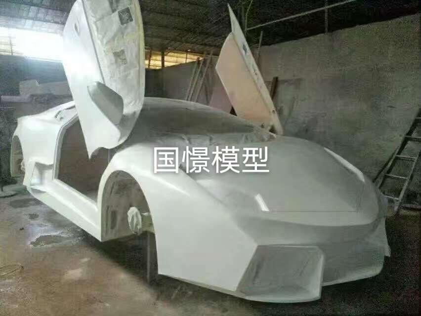 新蔡县车辆模型