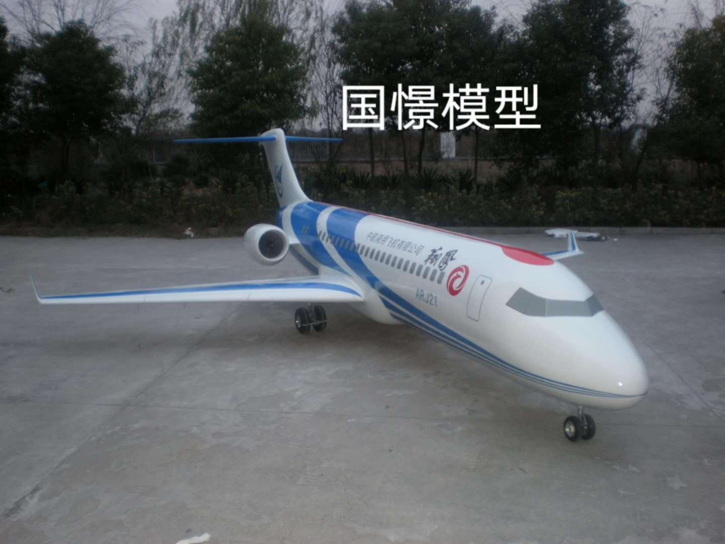 新蔡县飞机模型