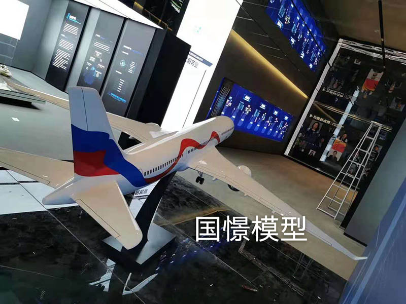 新蔡县飞机模型