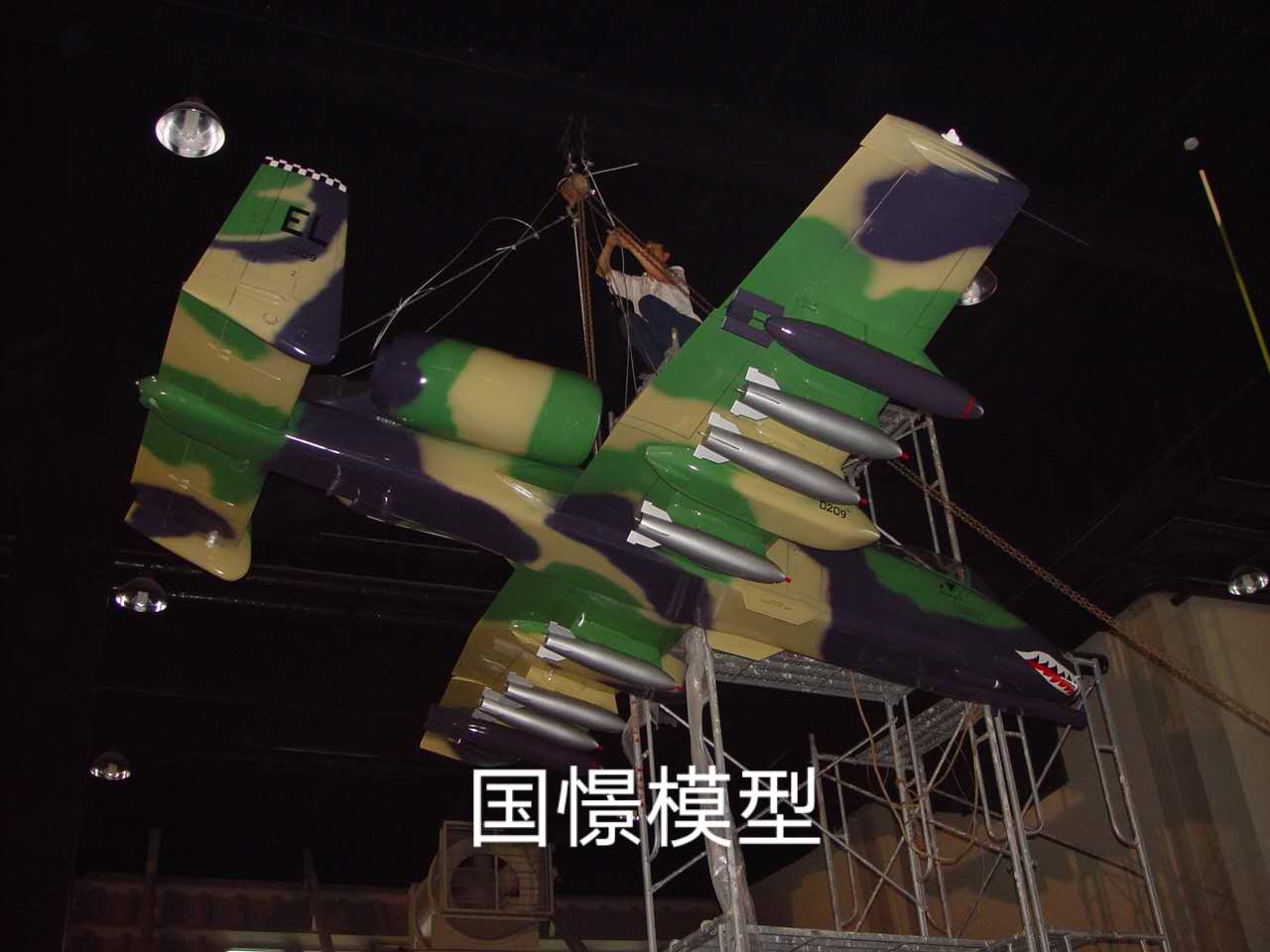 新蔡县军事模型