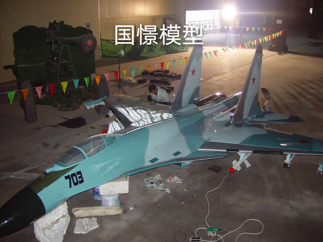 新蔡县军事模型