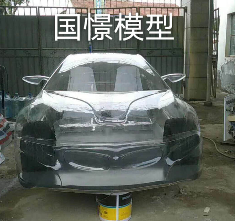 新蔡县透明车模型